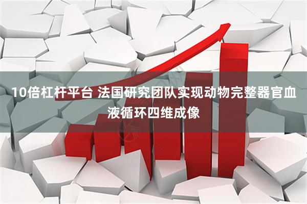 10倍杠杆平台 法国研究团队实现动物完整器官血液循环四维成像
