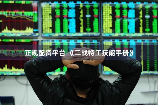 正规配资平台 《二战特工技能手册》