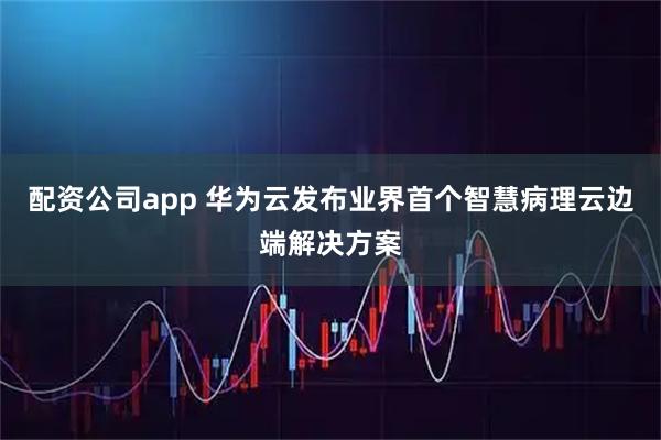 配资公司app 华为云发布业界首个智慧病理云边端解决方案