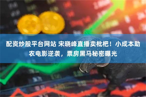 配资炒股平台网站 宋晓峰直播卖枇杷！小成本助农电影逆袭，票房黑马秘密曝光
